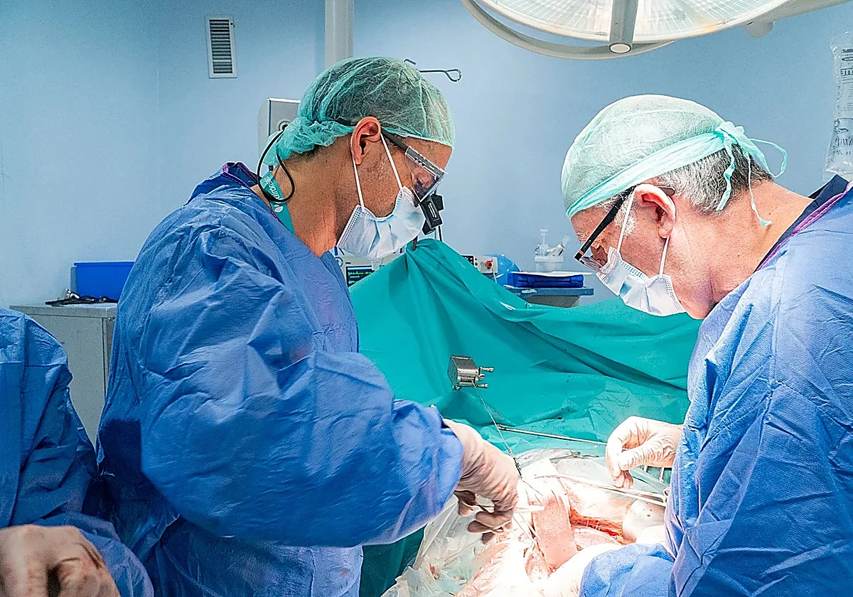 Más de 300 casos al año en Málaga: un nuevo fármaco arroja luz frente al cáncer de páncreas