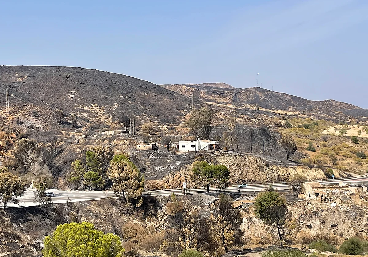 El origen del infierno que convirtió a Los Gallardos en una trampa mortal