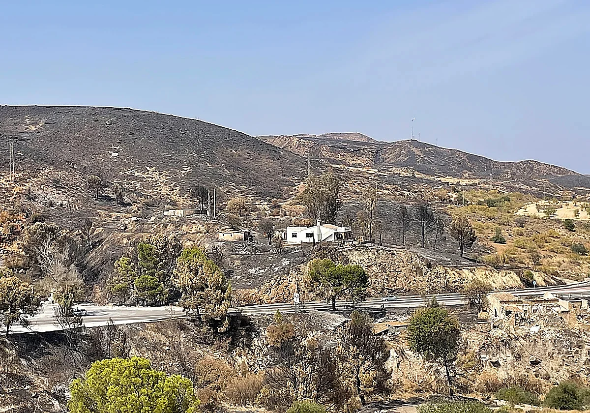 The origin of the hell that turned Los Gallardos into a death trap