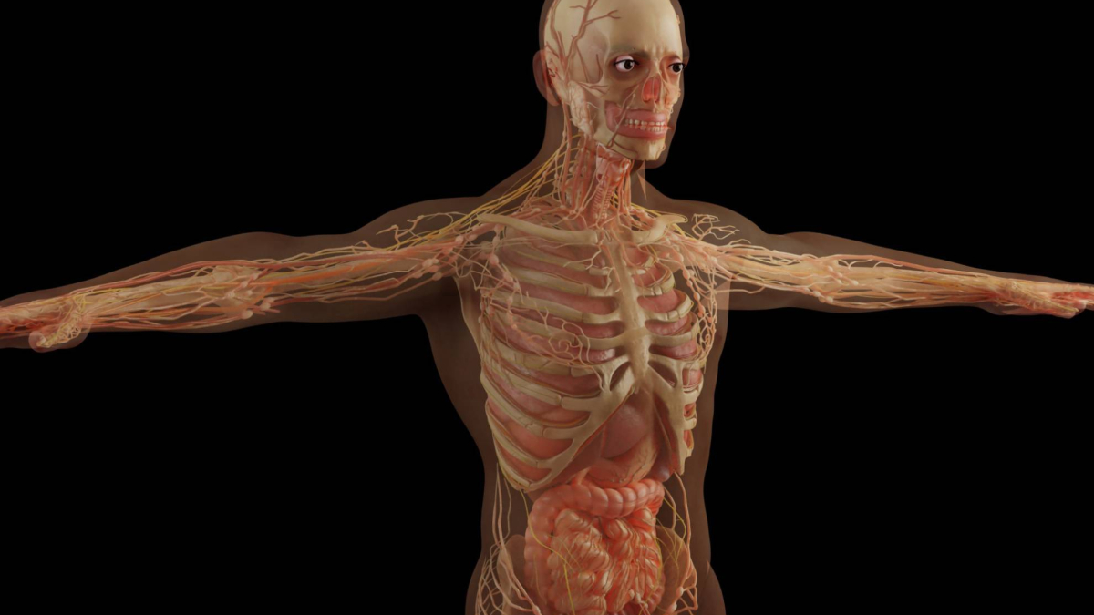 La evolución del cuerpo humano cuando las personas vivan fuera de la Tierra: “La naturaleza es muy sabia”
