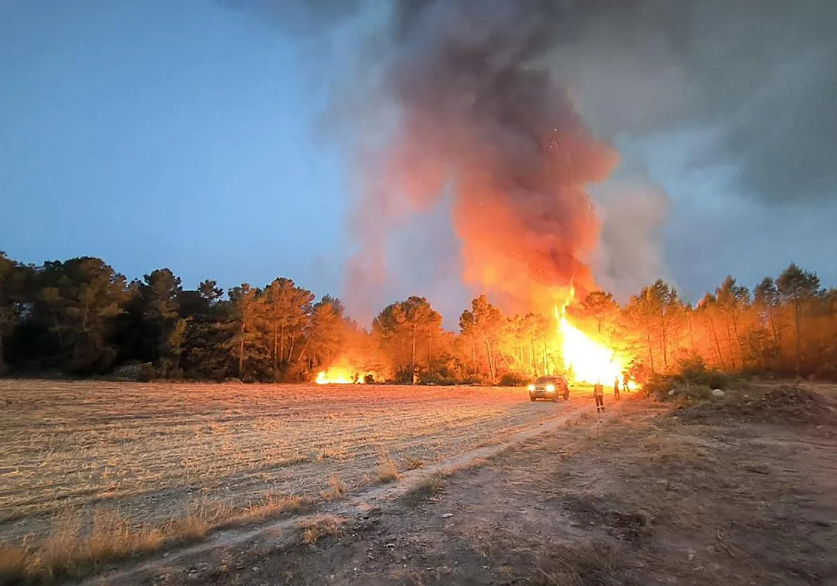 El incendio de Aiguamúrcia (Tarragona) afecta a 142 hectáreas