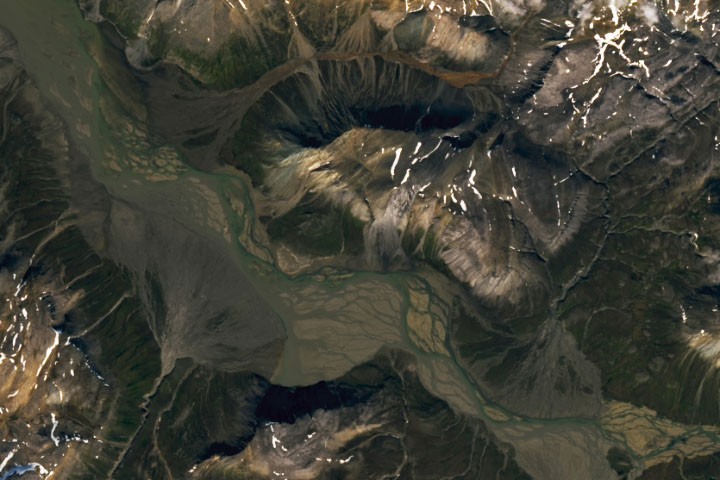 Fans of the Arctic