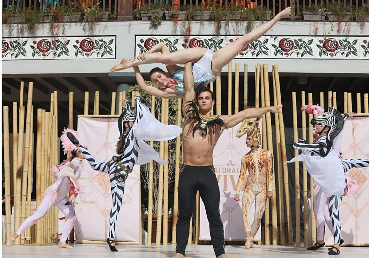 'Naturaleza viva' ofrecerá música, acrobacias y pasacalles en Málaga