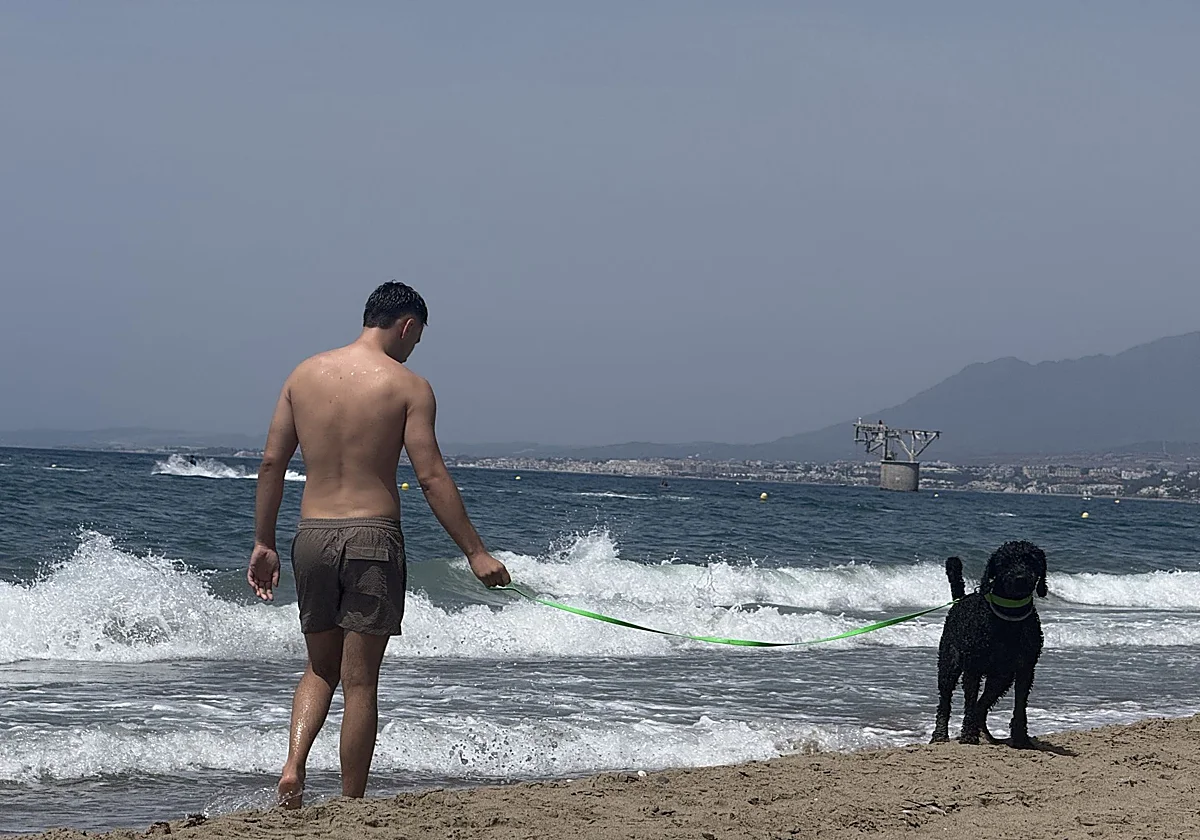 La Policía Local de Marbella velará por el buen uso de las playas caninas