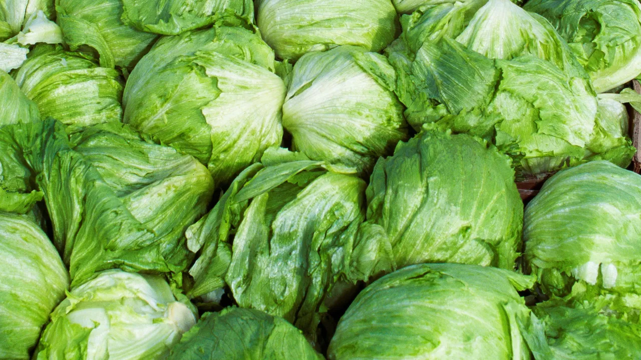 ¿Qué es la diarrea explosiva y qué se sabe del brote relacionado con lechuga mexicana?