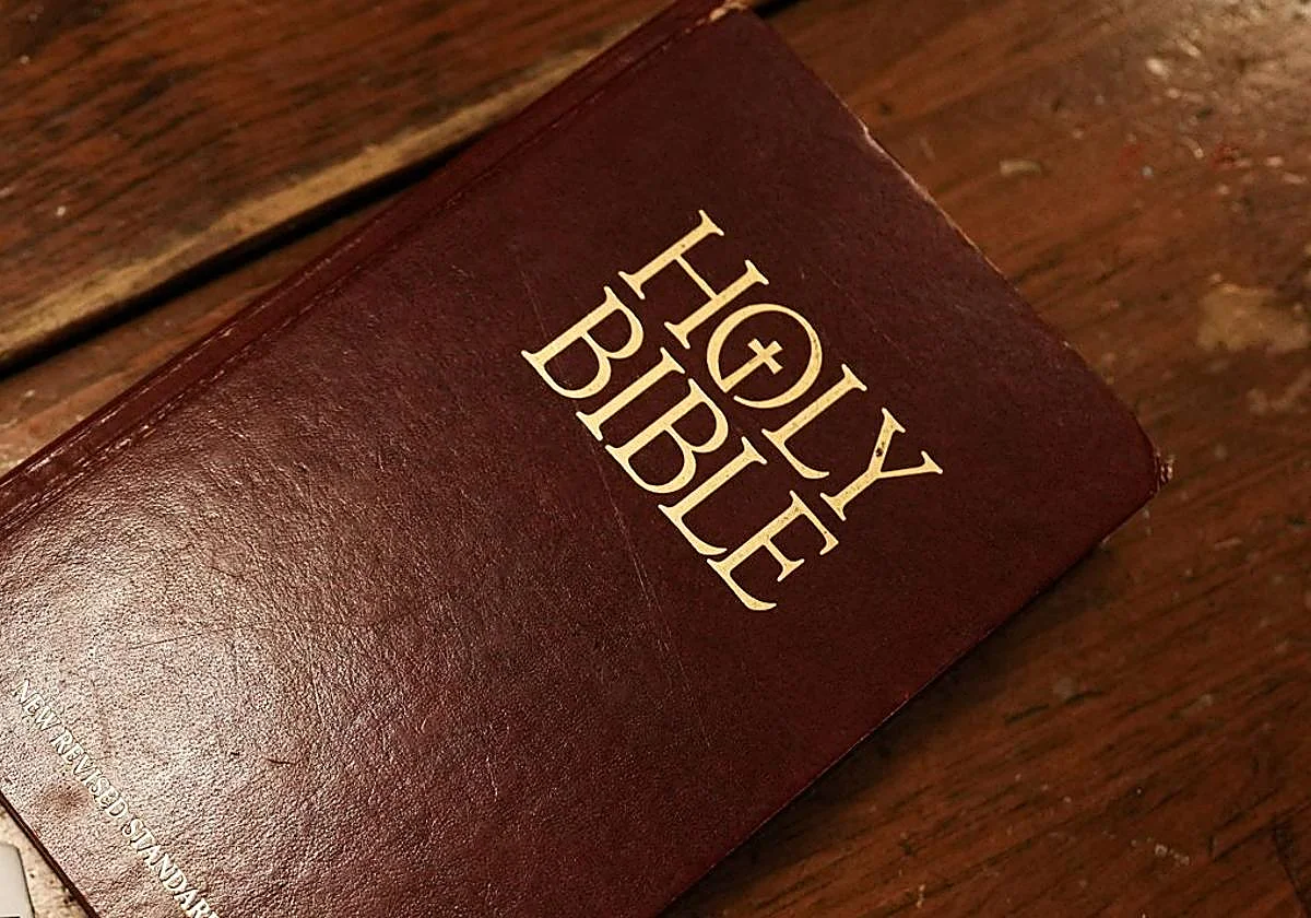 Peace on Earth (terms and conditions apply)