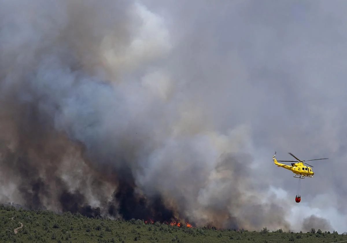 Cerca de 6.000 hectáreas han ardido en el incendio de Guadalajara