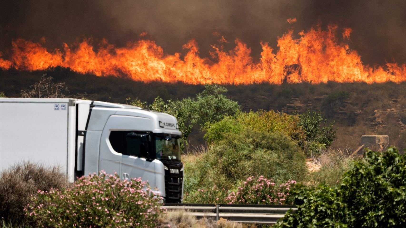 Fuegos controlados en invierno y un campo más vivo y diverso: ¿cómo prevenir incendios como Los Gallardos y Orés?