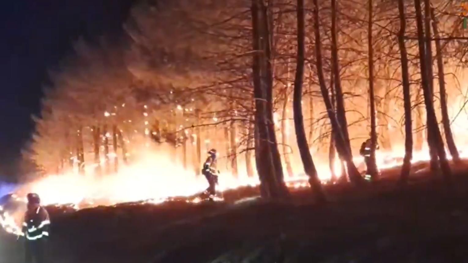 El incendio de La Mierla ya ha arrasado 12.000 hectáreas y la Junta planea un plan de recuperación de la zona