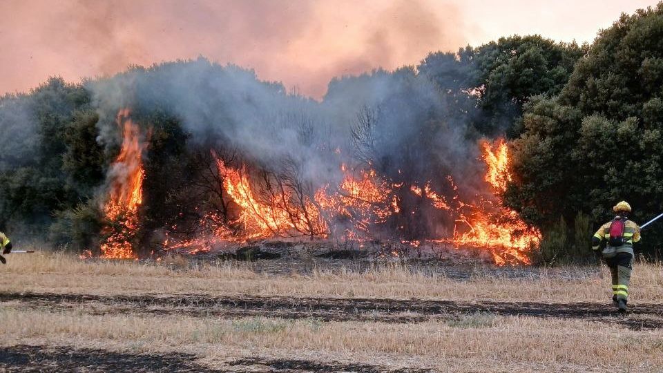La chispa de una empacadora, origen del grave incendio forestal que ha arrasado 16.000 hectáreas en Orés