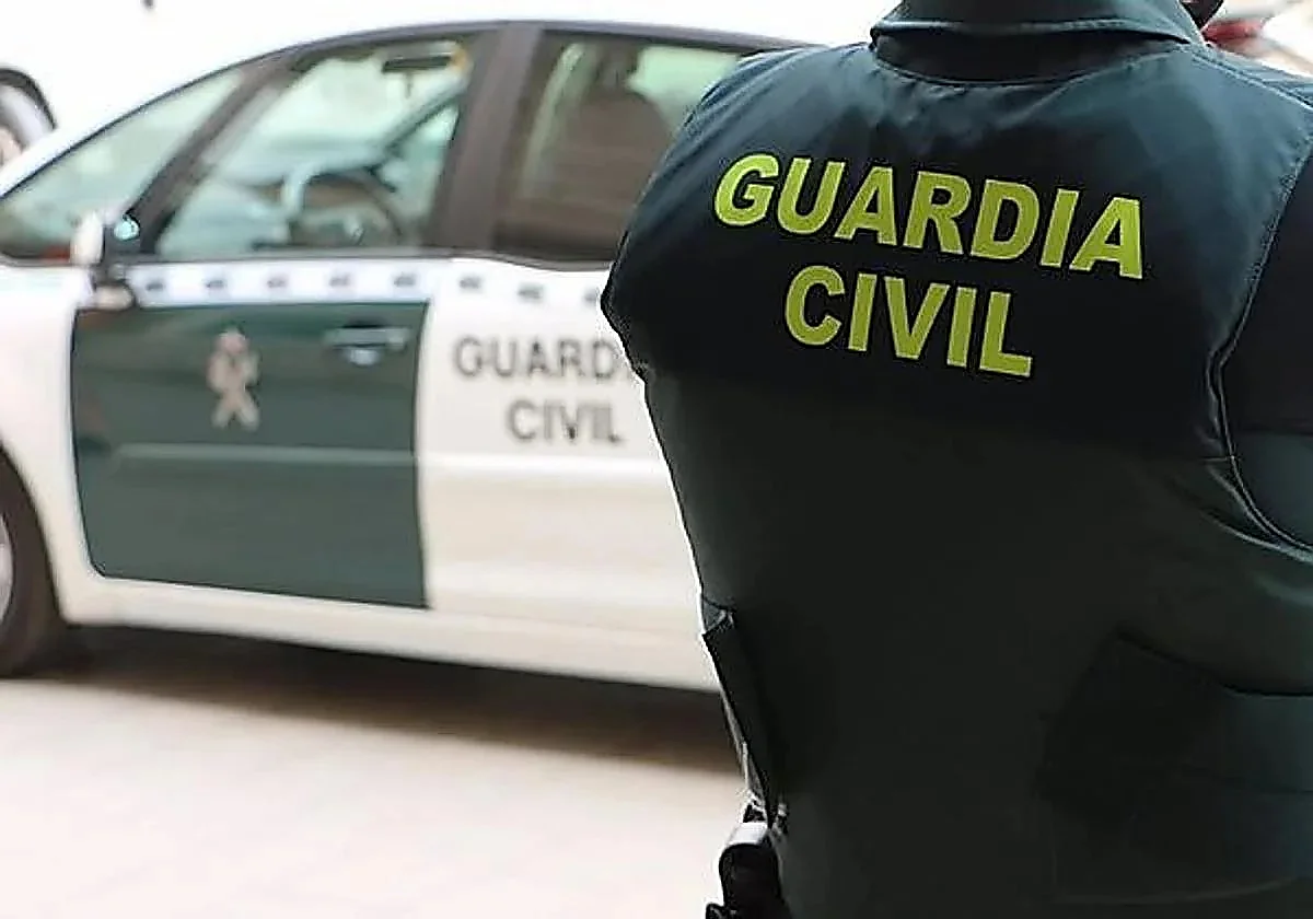 Pair arrested in Malaga province for stealing chicks of protected birds of prey from their nests