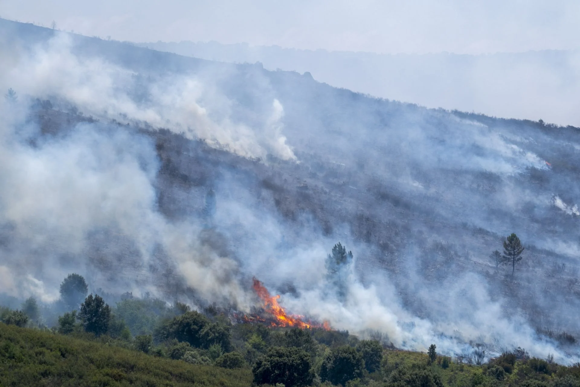 El incendio de Guadalajara se encuentra a cinco kilómetros de la provincia de Soria y la situación «es complicada»