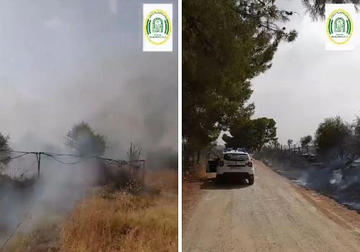 Declarado un incendio forestal en Pizarra este martes