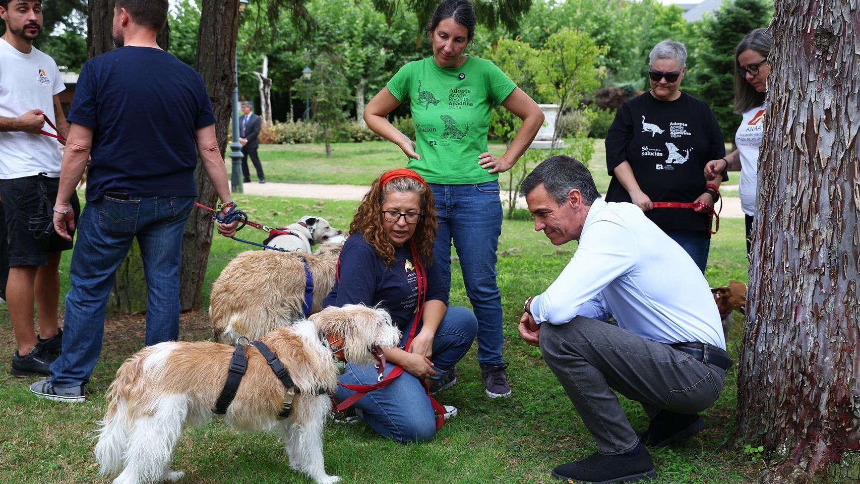 Sánchez felicita el Día del Perro y lo celebra posando junto a una quincena de canes en adopción en un acto en Moncloa