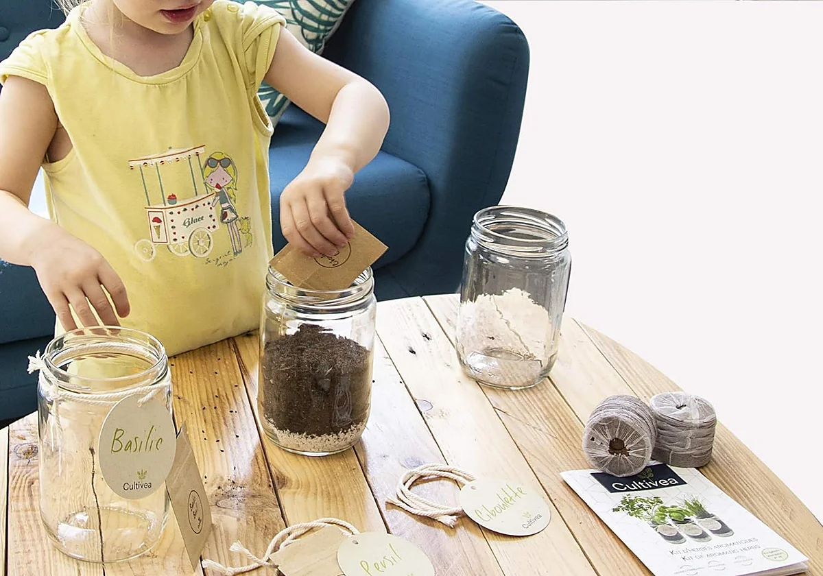 Cultiva tú mismo tus plantas aromáticas con estos sets y huertos urbanos