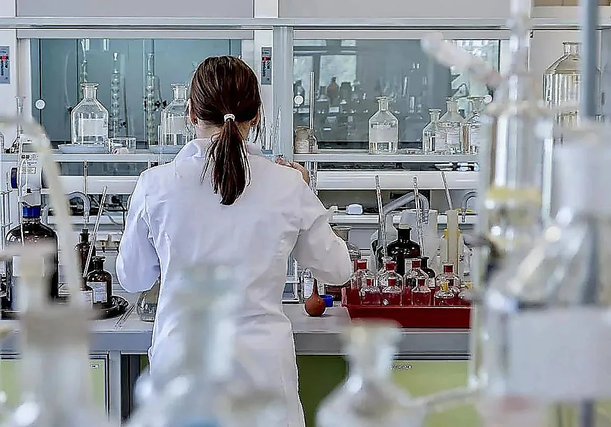 Malaga University receives almost ten million euros to boost local research
