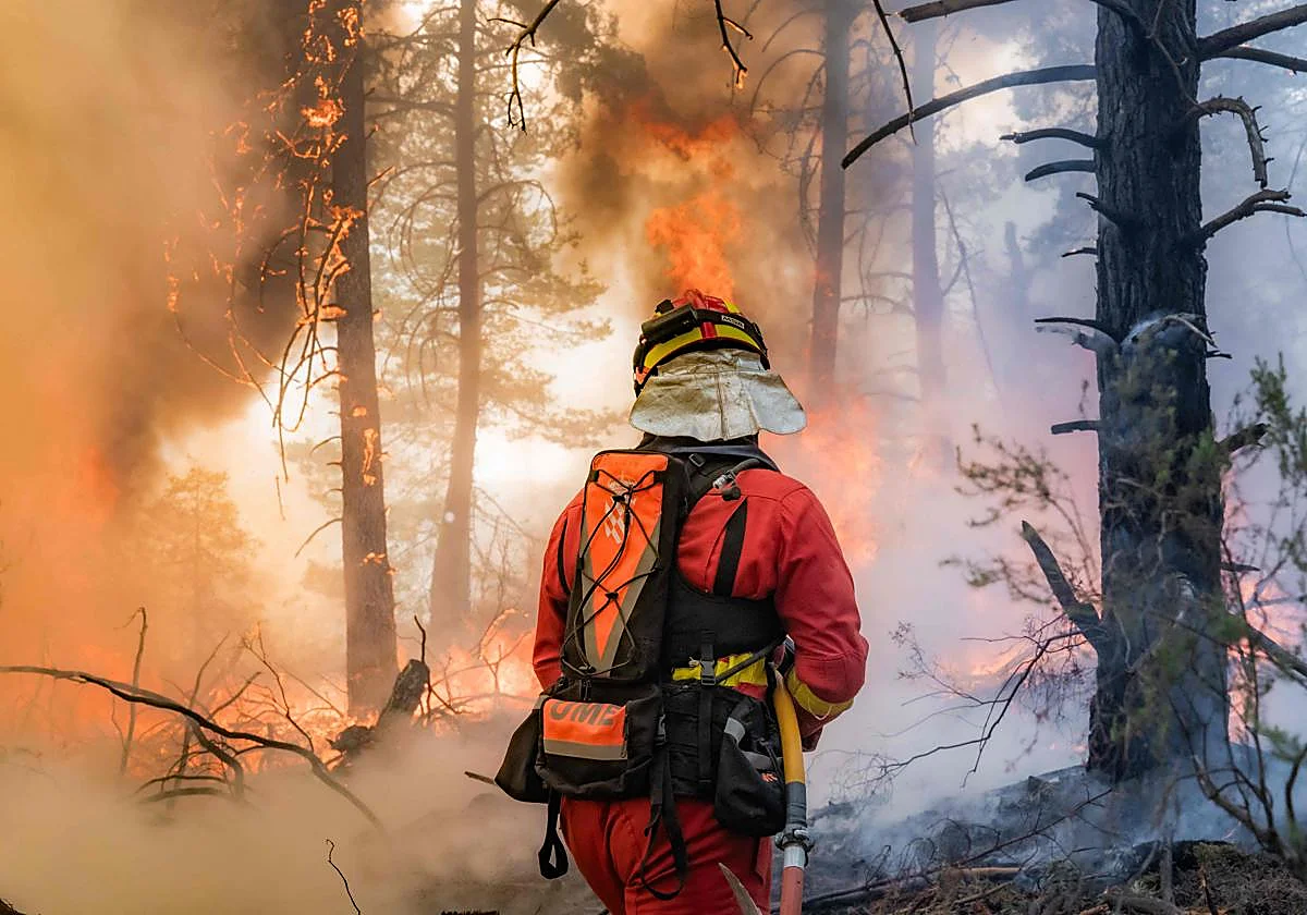 España afronta una jornada crítica por los incendios forestales con varios frentes activos