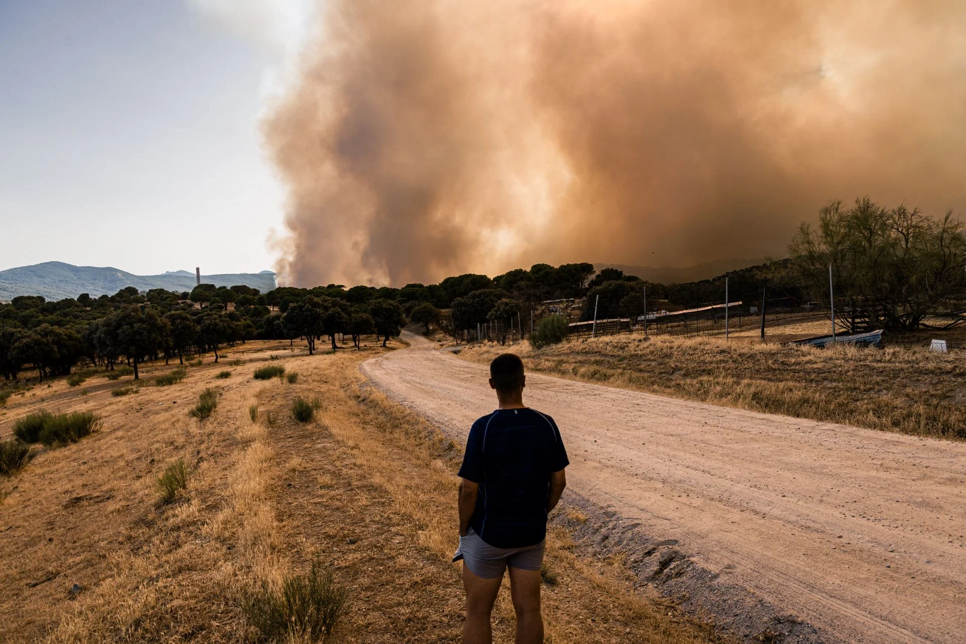 Directo | Los incendios forestales avanzan sin control por Ávila, Madrid y Toledo