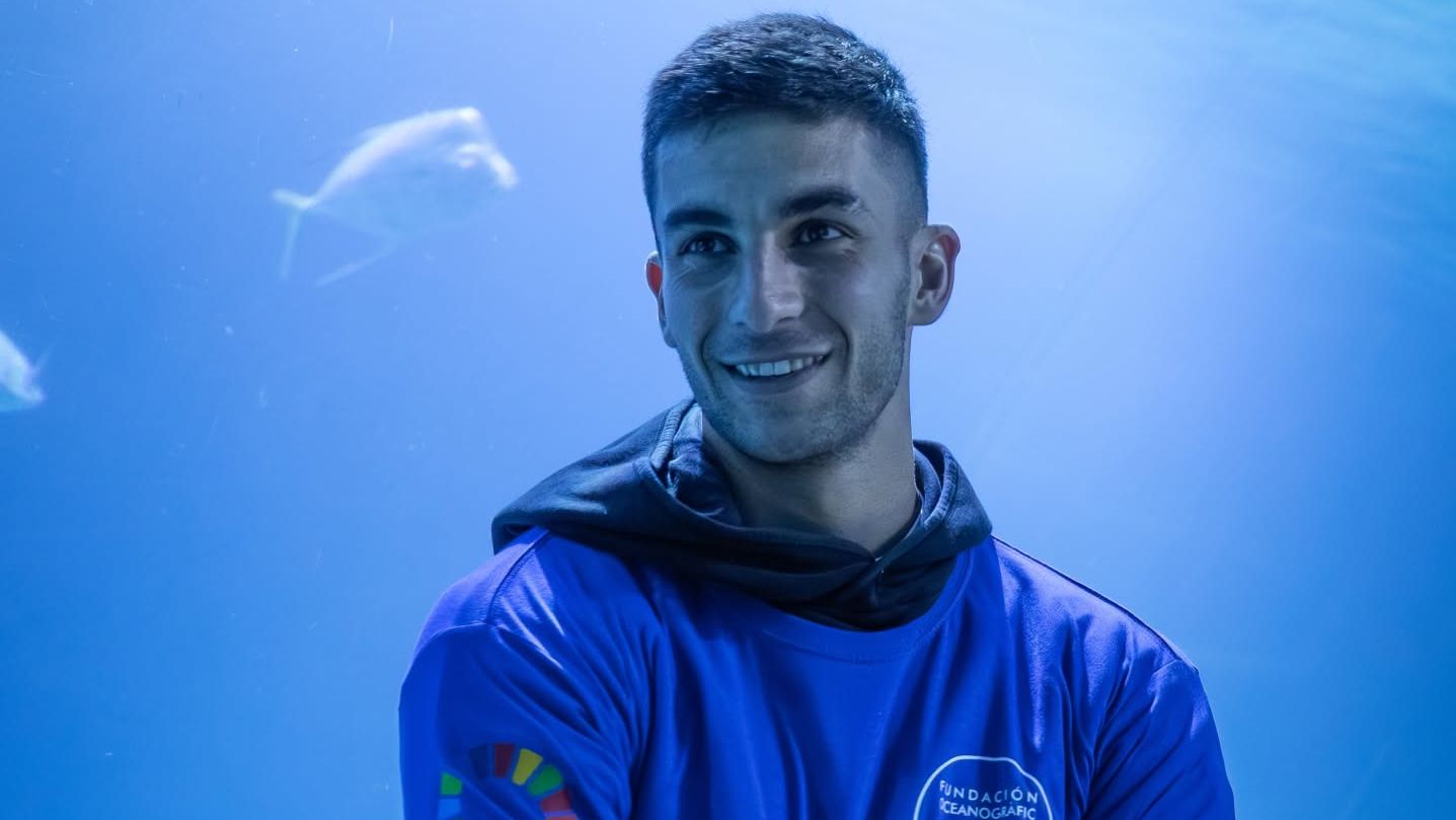 El tiburón 'Ferran Torres' ya nada en el Oceanogràfic: el acuario bautiza a un animal con el nombre del futbolista