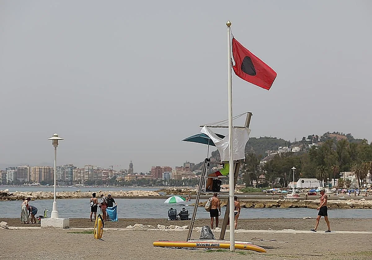 Dos playas de Marbella se suman a las cerradas al baño en Málaga por bacterias fecales
