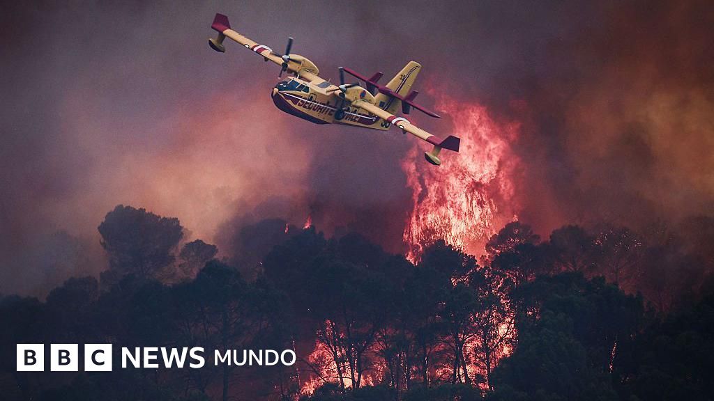 VIDEO | "Es una situación dramática": los voraces incendios que obligan a miles a evacuar en el sur de Europa
