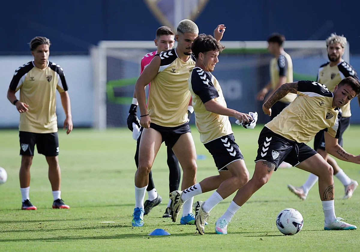 Operación salida del Málaga: algunos jugadores, a examen en la pretemporada