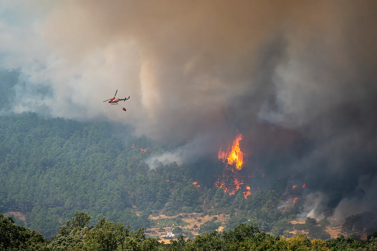 La UME asegura que el incendio entre Ávila y Madrid está contenido, aunque mantiene "cabezas activas"