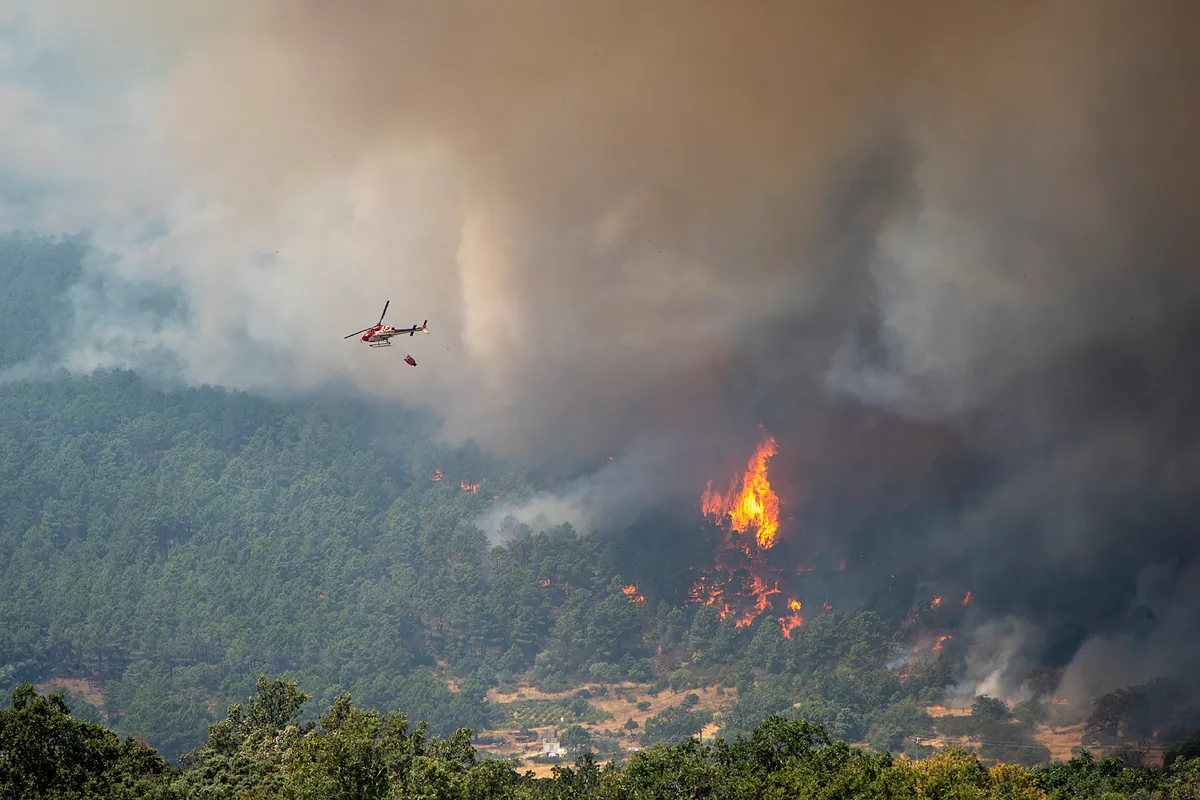 El incendio de Ávila ha quemado 50.000 hectáreas, el mayor fuego de la historia de España, y la situación es aún "compleja"