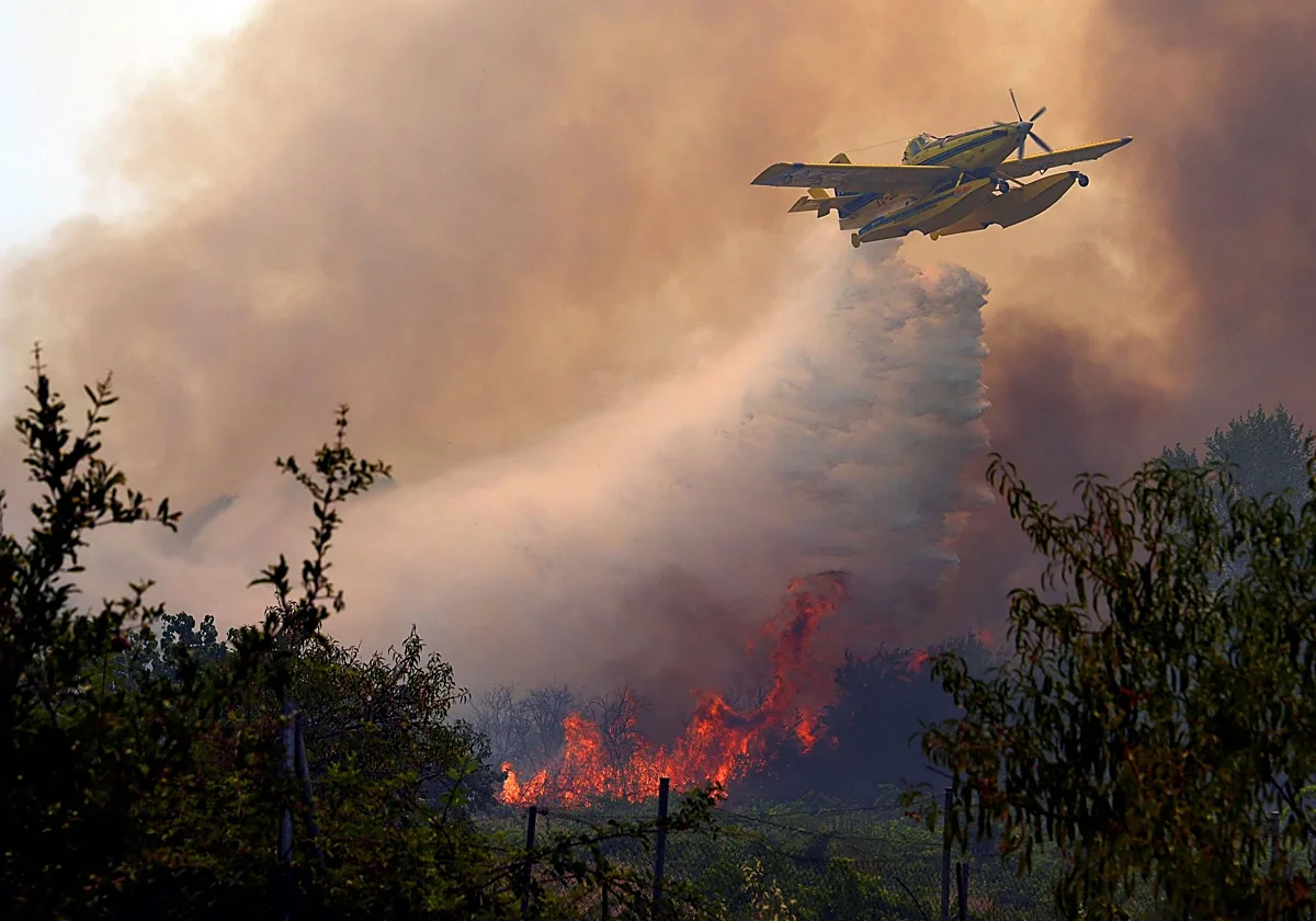 Los incendios de Ávila, Madrid y Toledo dan una tregua pero han calcinado ya 77.000 hectáreas