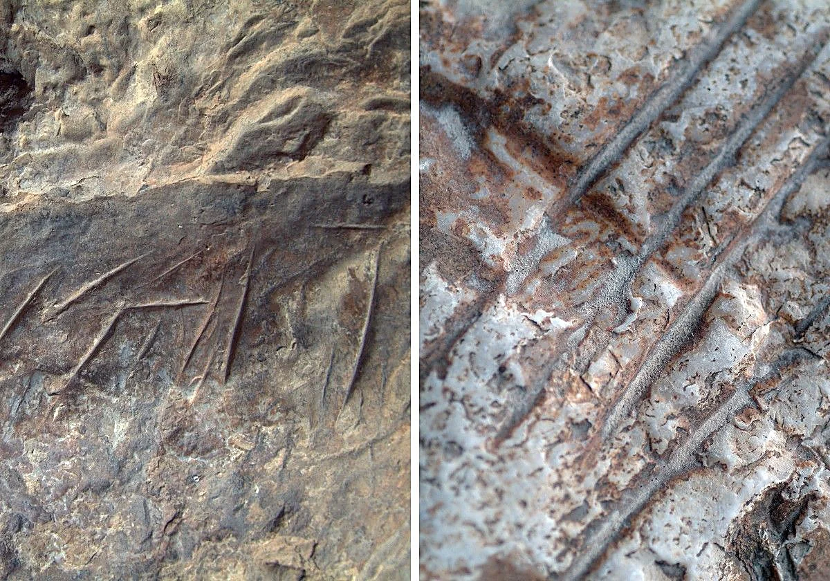 Atribuyen a grupos neandertales los grabados hallados en un abrigo rocoso de Cañete la Real
