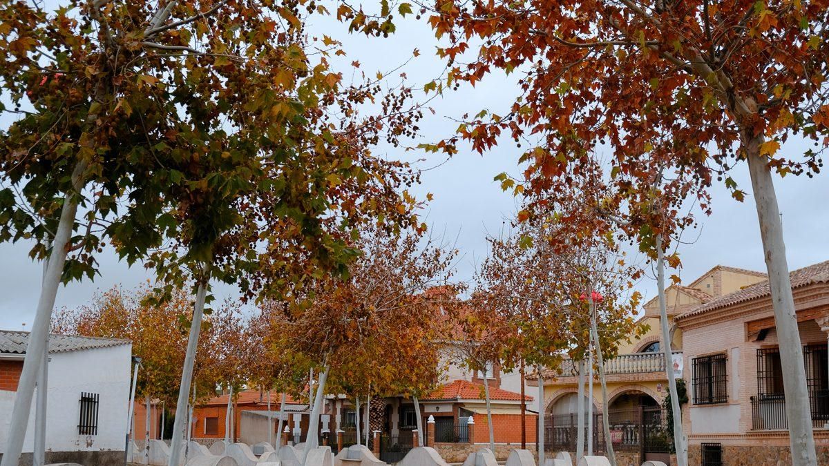 Las fallecidas en el accidente de Novés eran madre e hija: luto en varios pueblos de Toledo por la muerte de Carmina y Pilar