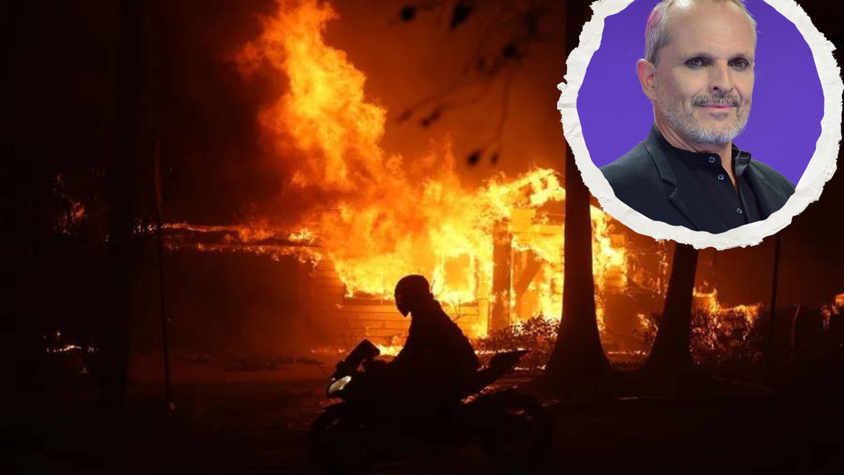 Miguel Bosé y los incendios: "Empeñados en vendernos un 'clima cambiático' de Agenda 2030"