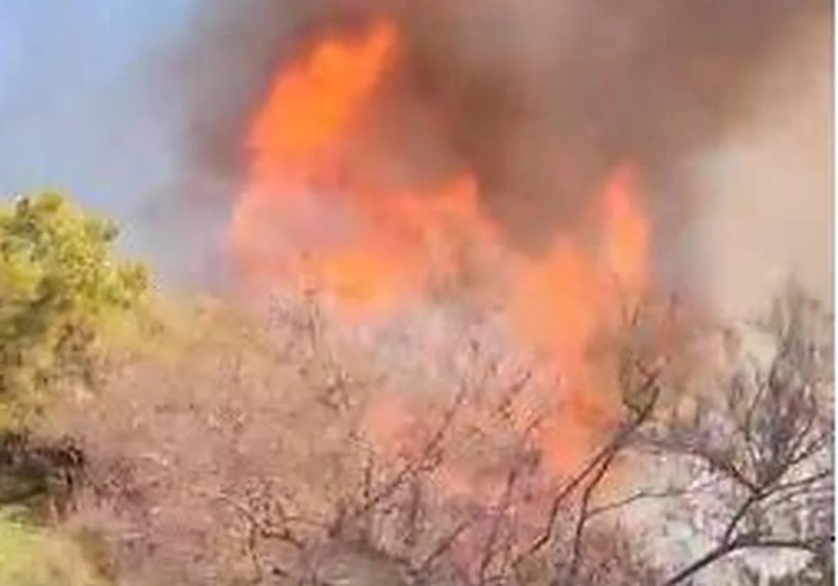 Cortado un carril de la A-7 en sentido Málaga por un incendio en Marbella