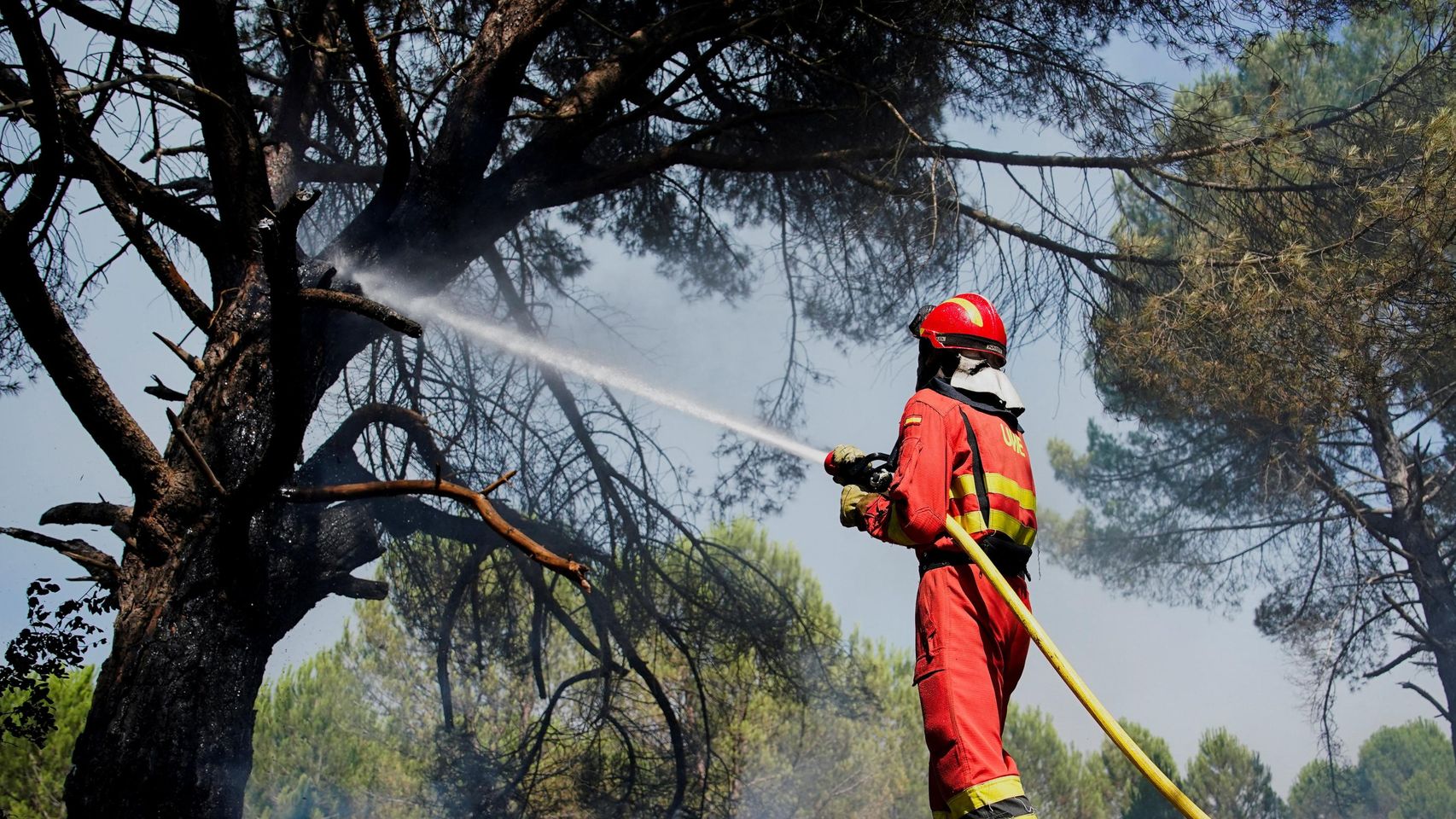 Incendios en España hoy, en directo | Última hora de las zonas afectadas, fuegos activos y carreteras cortadas en Madrid, Toledo y Ávila