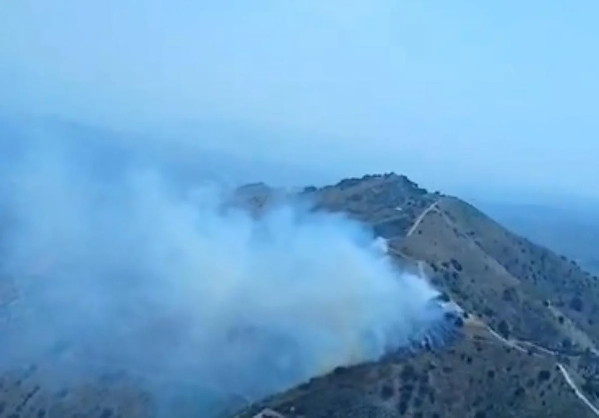 Estabilizado un incendio forestal en El Borge y Cútar