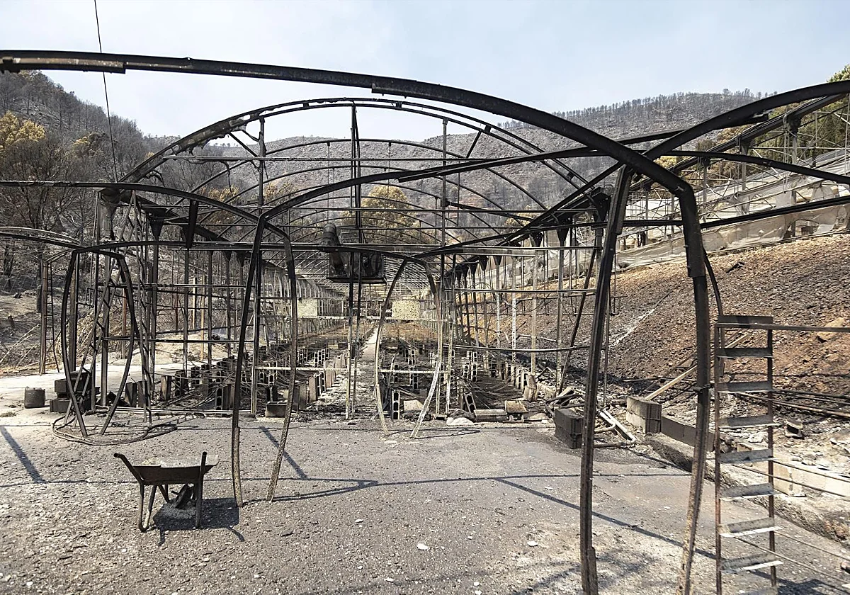 Los autónomos podrán acogerse a un cese de actividad extraordinario por los incendios