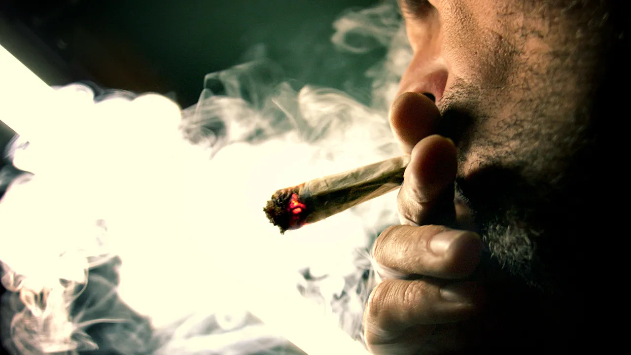 Estudio descubre que los consumidores crónicos de cannabis amanecen con mayores niveles de estrés de lo normal