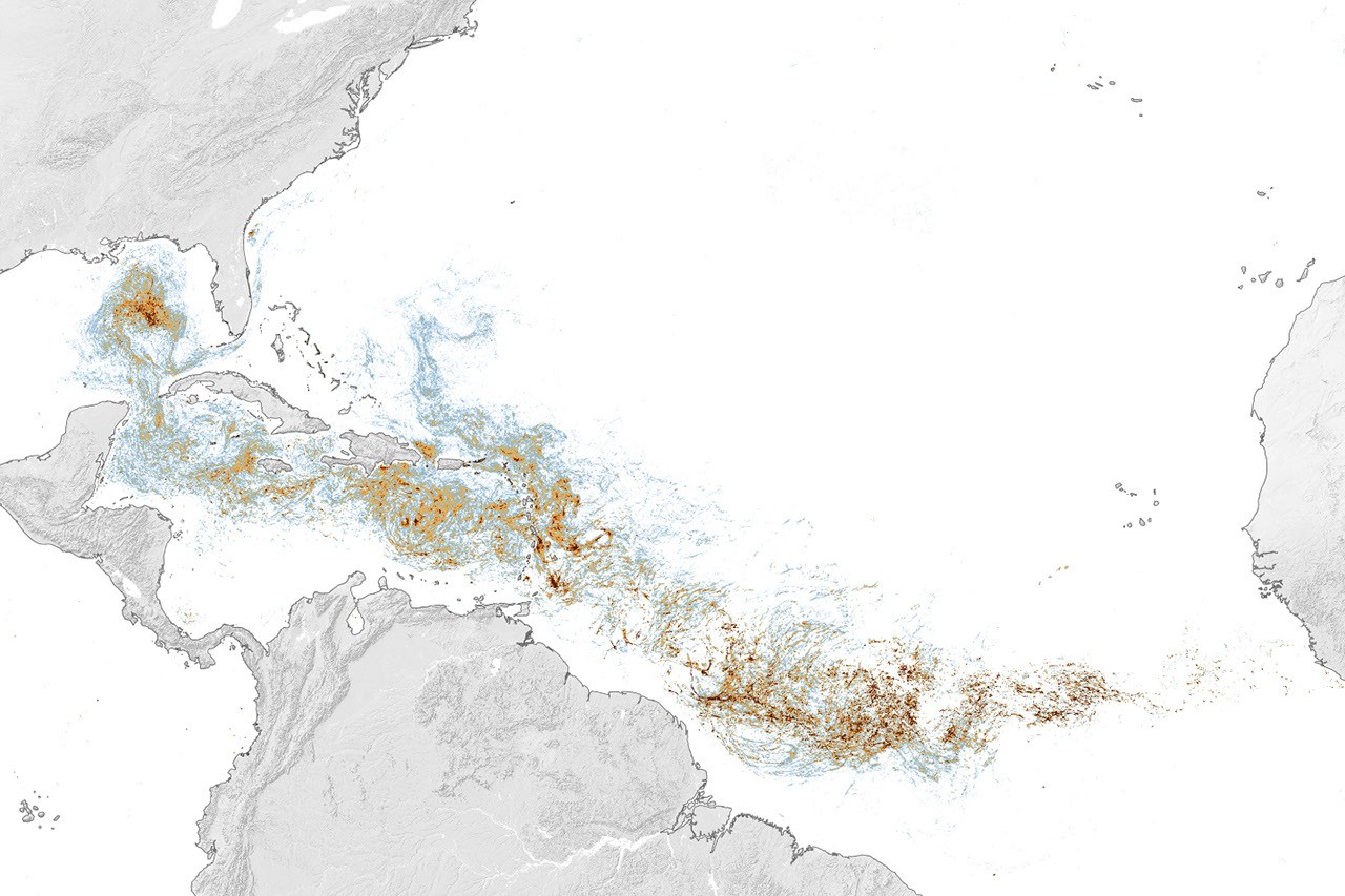 Sizing Up the Sargassum Belt