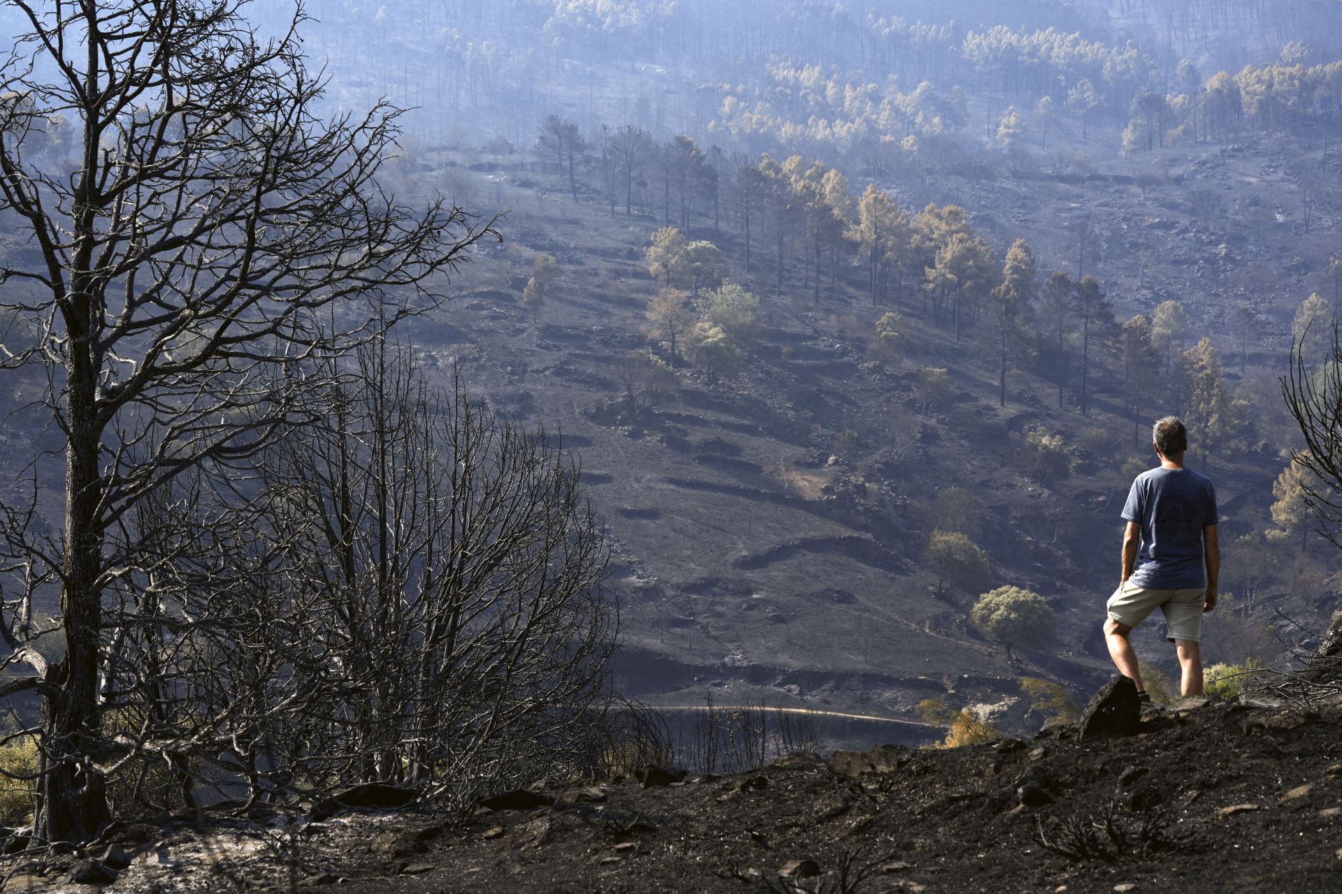 Directo | Sigue el avance de los incendios forestales en España, que afronta una nueva ola de calor