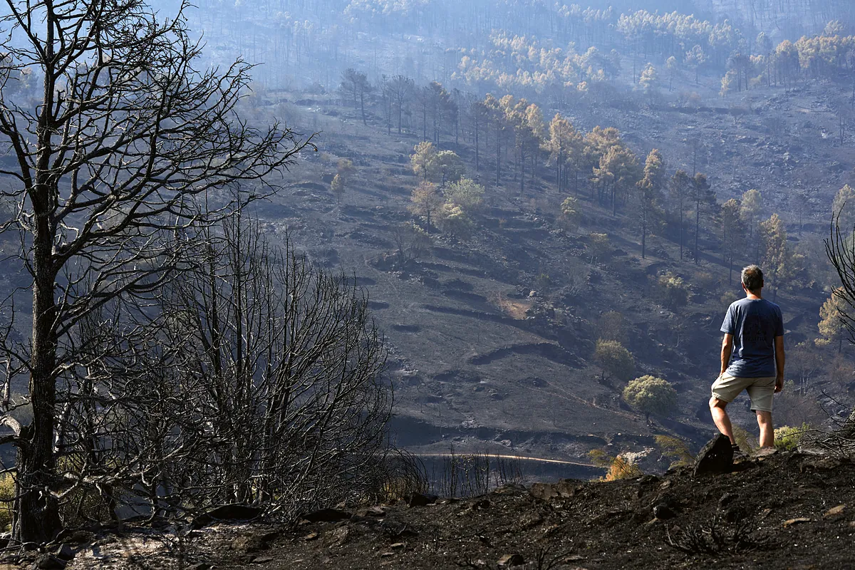 Calma tensa ante la mejora de los grandes incendios en España en plena tormenta perfecta por la nueva ola de calor