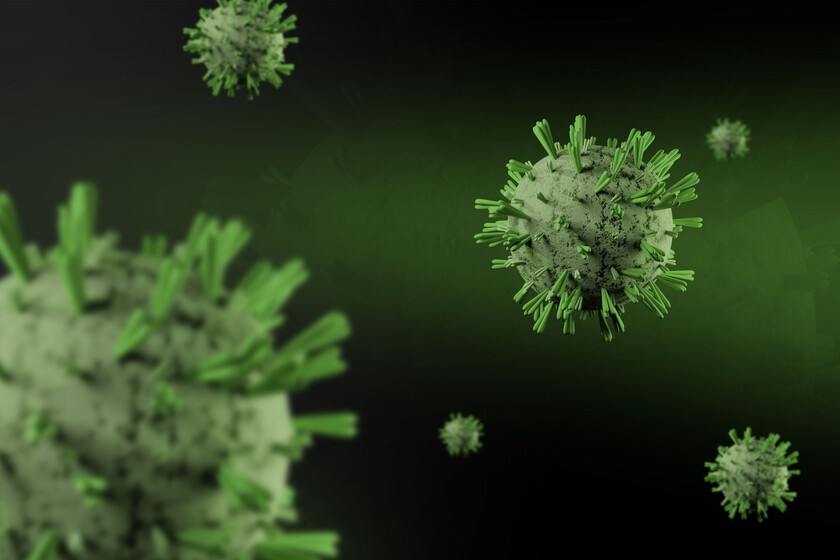 El mayor asesino de América no empuñaba una espada, era un virus: el ADN de dos momias incas acaba de confirmar su origen
