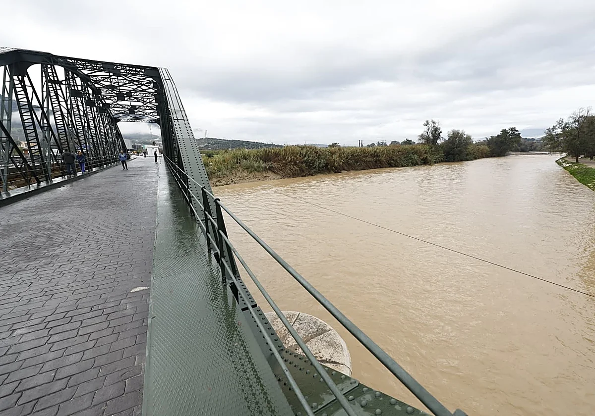 Guadalhorce river, after reaching an all-time high, returns to safe levels in Cártama, but is on alert in north of Malaga province