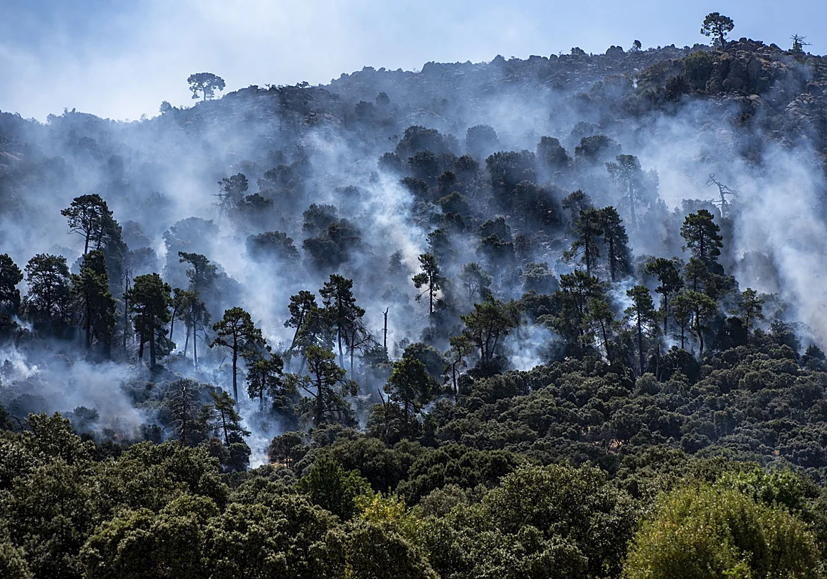 Bulos sobre el monte que avivan el fuego
