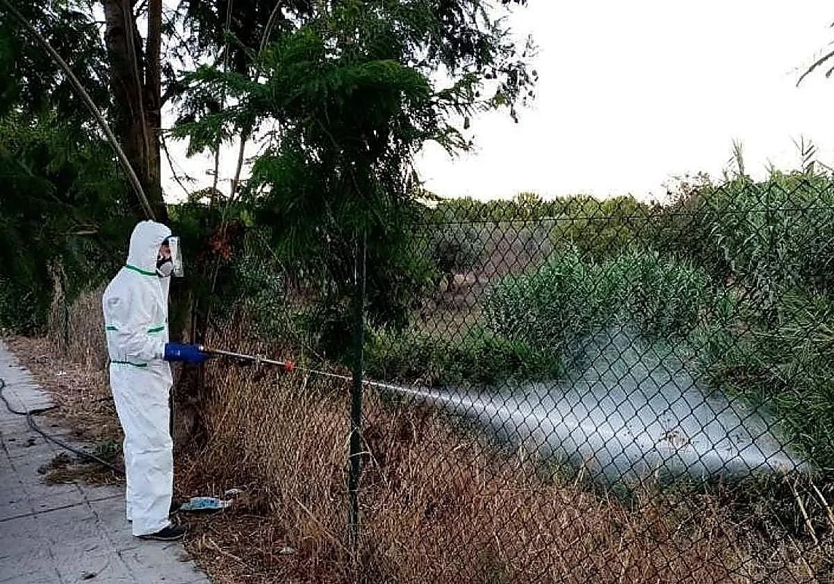 Un nuevo caso eleva a doce los contagios por el virus del Nilo en Andalucía