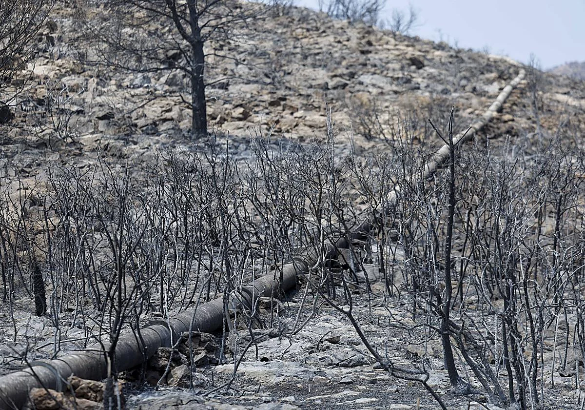 El incendio de Castellón queda estabilizado tras arrasar 9.568 hectáreas