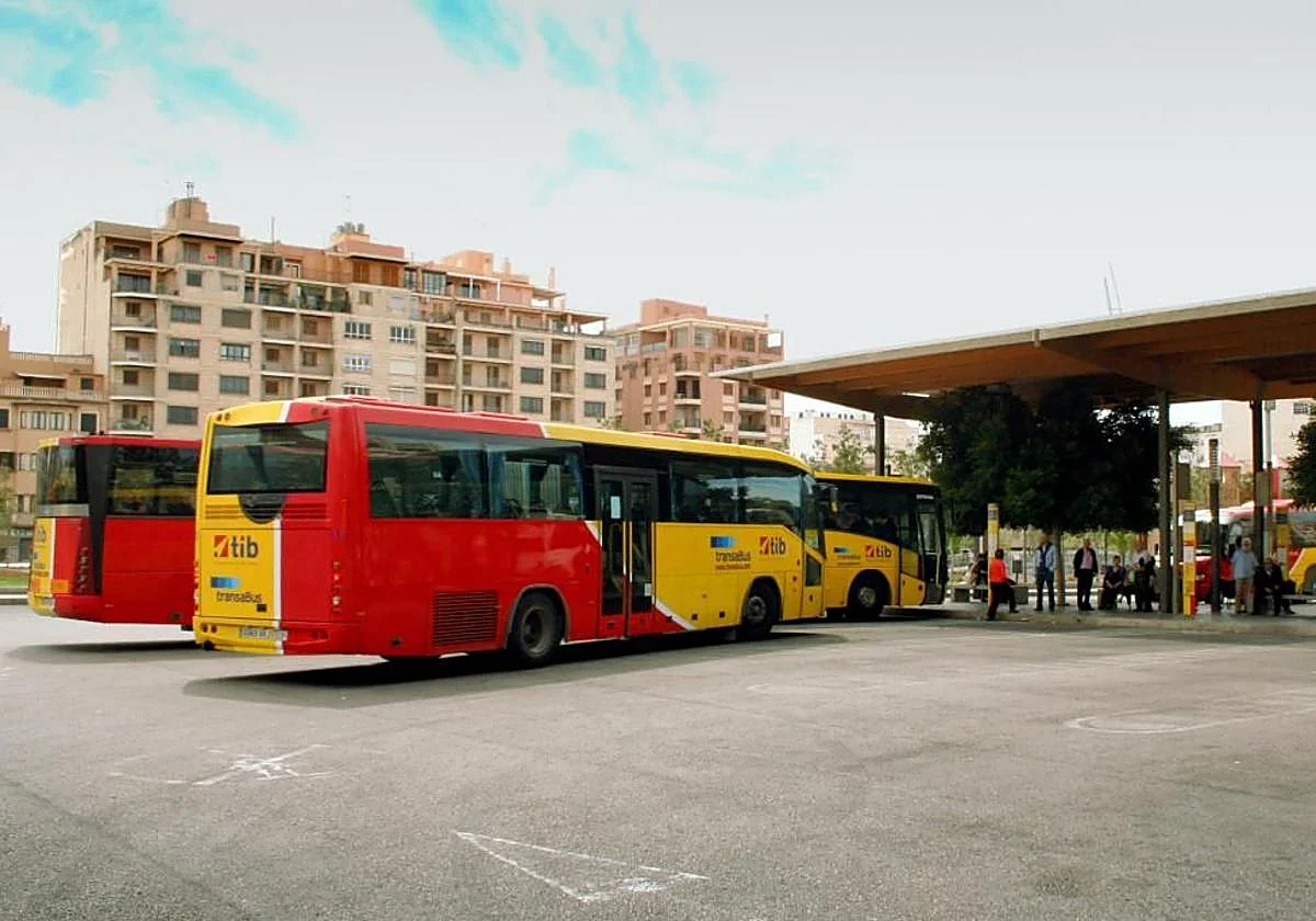Muere un hombre al caerle encima una farola derribada por un autobús en Mallorca