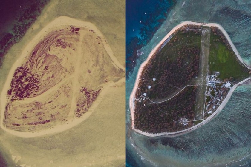 En 1969, un piloto alquiló una isla de coral devastada y transportó bidones de agua para las primeras plantaciones: 50 años después es irreconocible