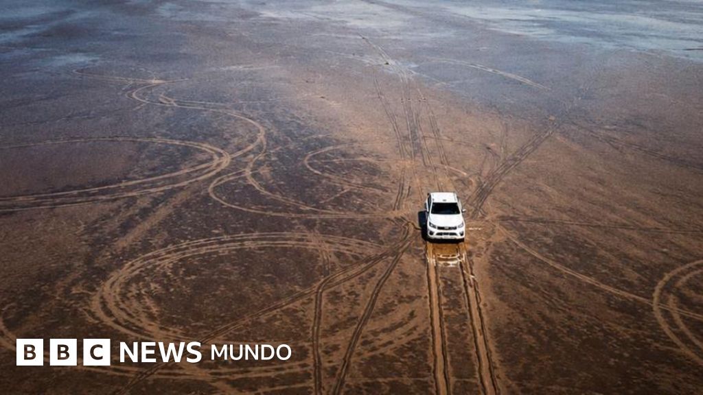 La indignación por el enorme daño ambiental que causó un hombre con su camioneta en un ecosistema único del norte de Argentina