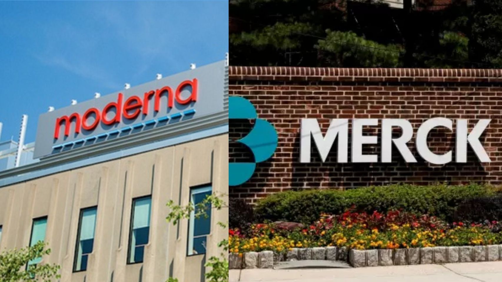 Moderna y MSD anuncian resultados positivos de su vacuna contra el melanoma y se disparan en bolsa