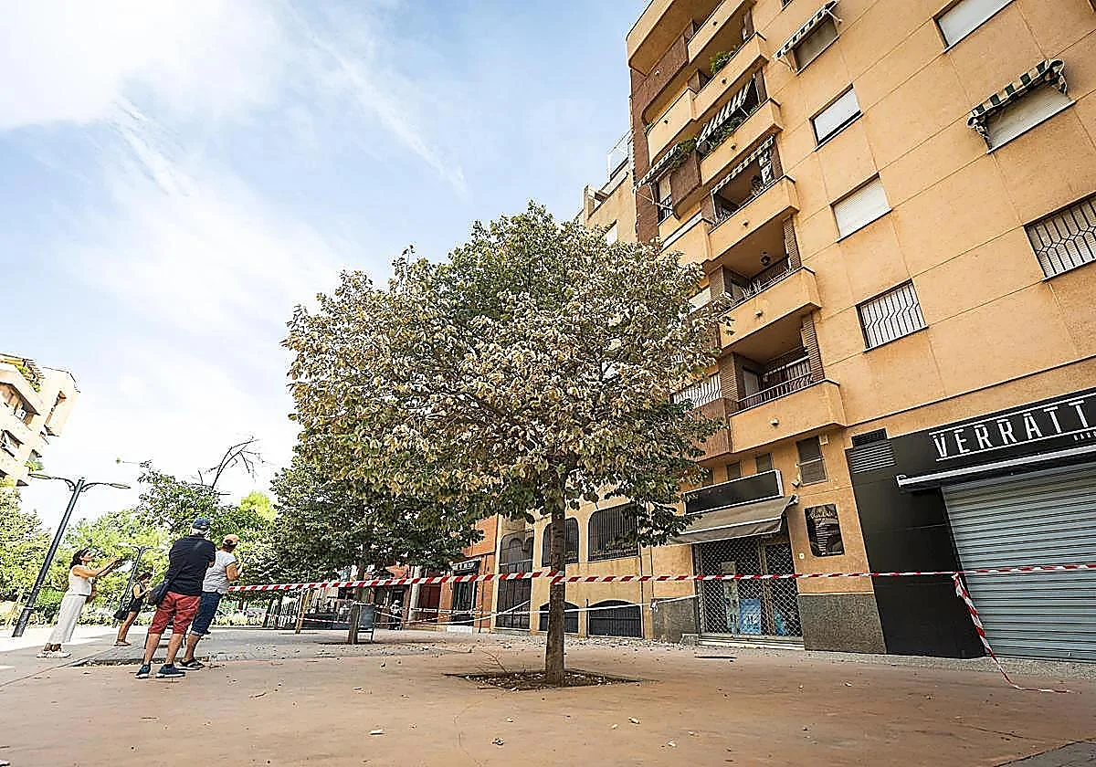 Granada trata de recuperar la normalidad mientras gestiona más de 3.000 incidencias derivadas de los terremotos